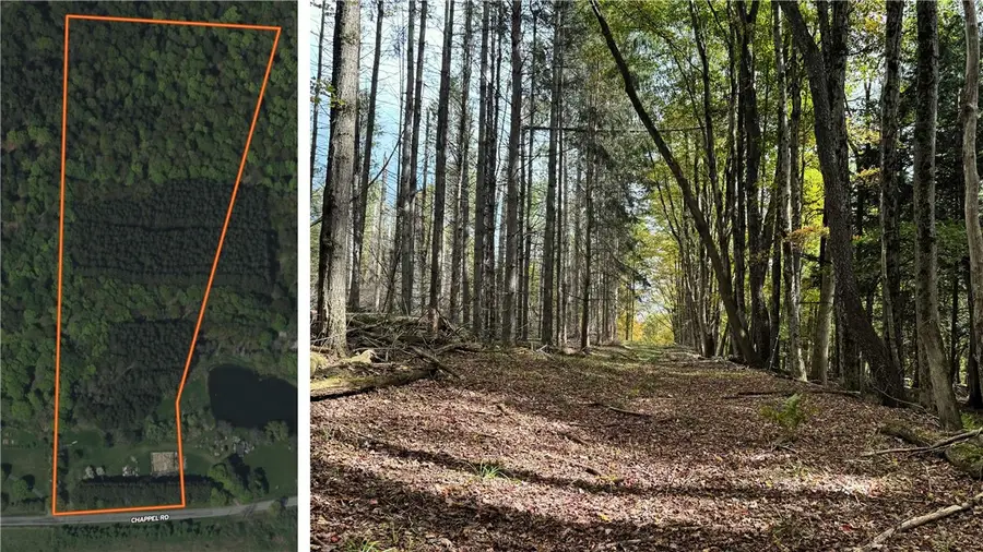 7465 Chappel Road, Hamilton, NY 13346 - Image #2