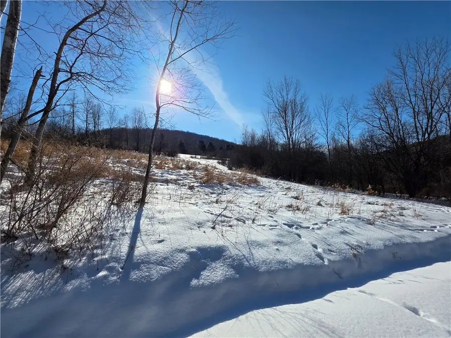 County Route 60, Greenwood, NY 14839 - #2