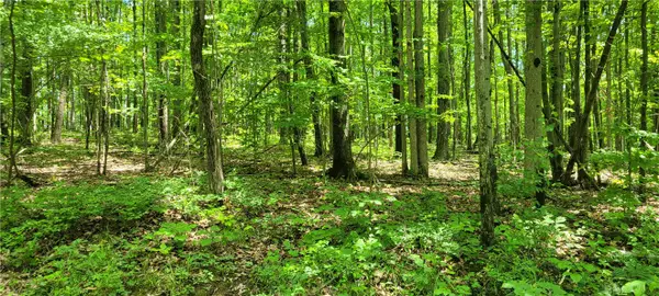 Hagerman Road, Waverly, NY 14825