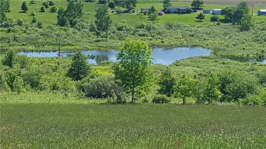 Stone Road, Cincinnatus, NY 13040 - #3