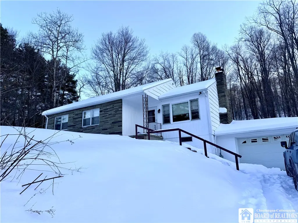 5801 Leonard Run Road, Limestone, NY 14753 - #1