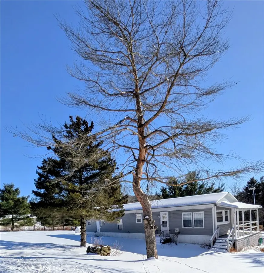 333 Red Chalk Road, Erin, NY 14838 - #2