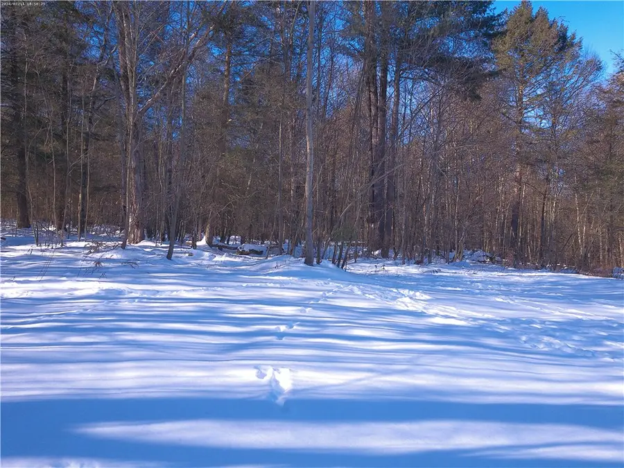 Bettsburg Road, Afton, NY 13730 - #2