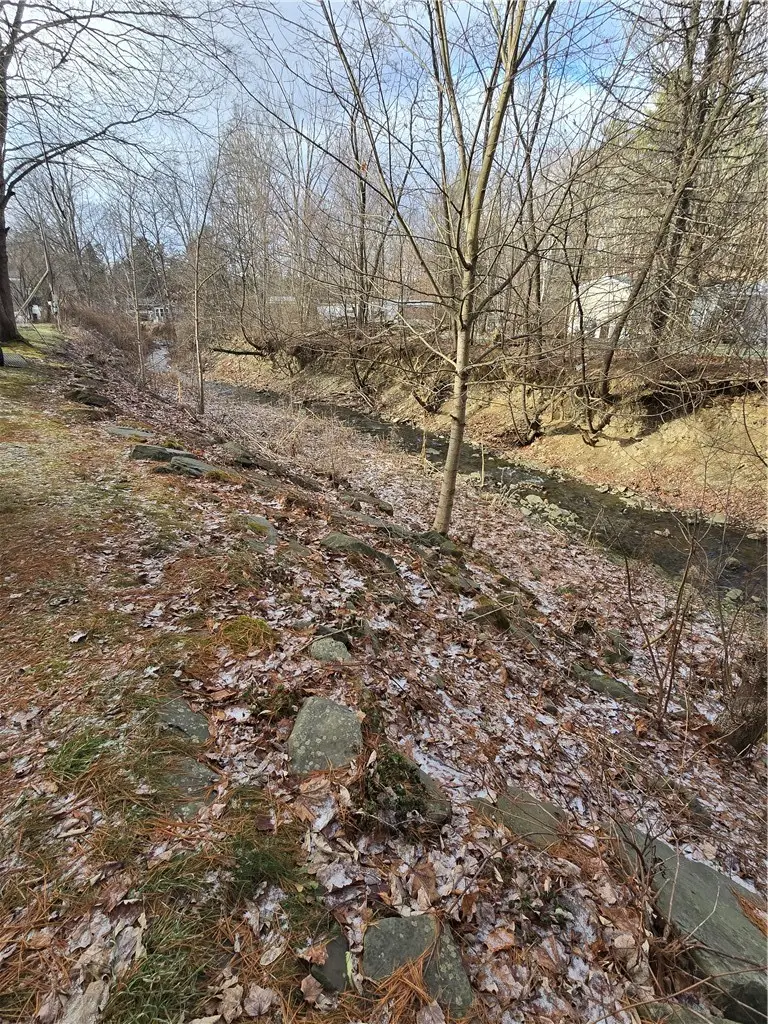 780 State Route 369 - Lot 48, Port Crane, NY 13833 - #3