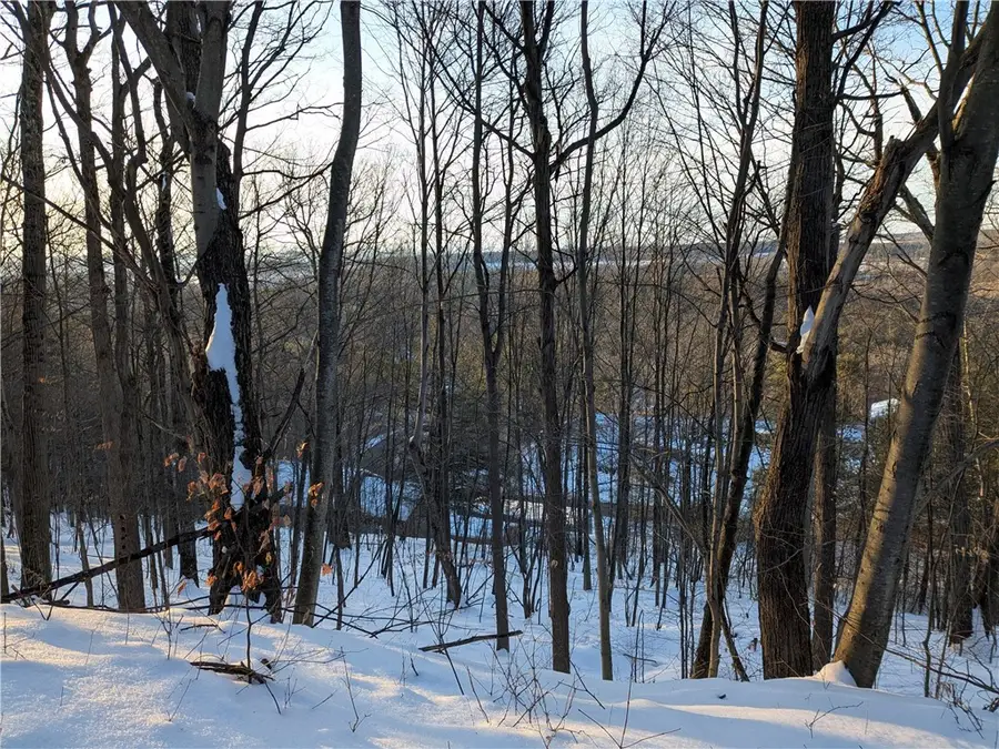 0 Oak Brook Drive, Ithaca, NY 14850 - #2