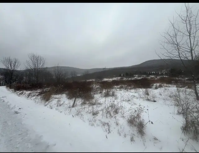 Narrow Notch Road, Stamford Town, NY 12167 - #3