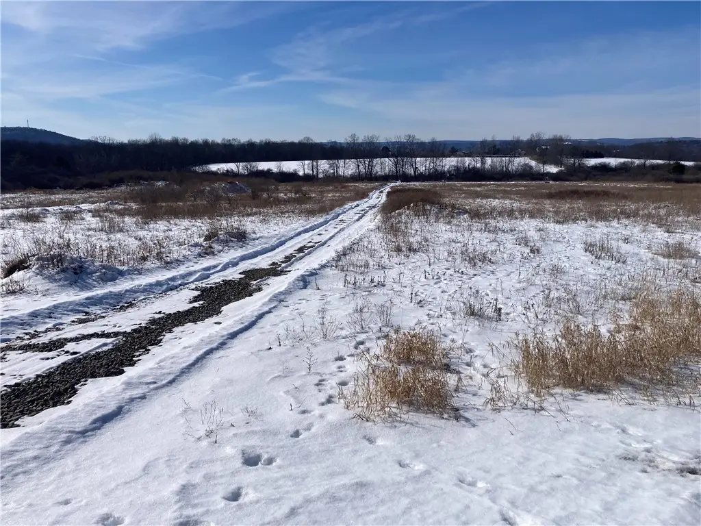 239 Vargo Road, Horseheads, NY 14845 - #1