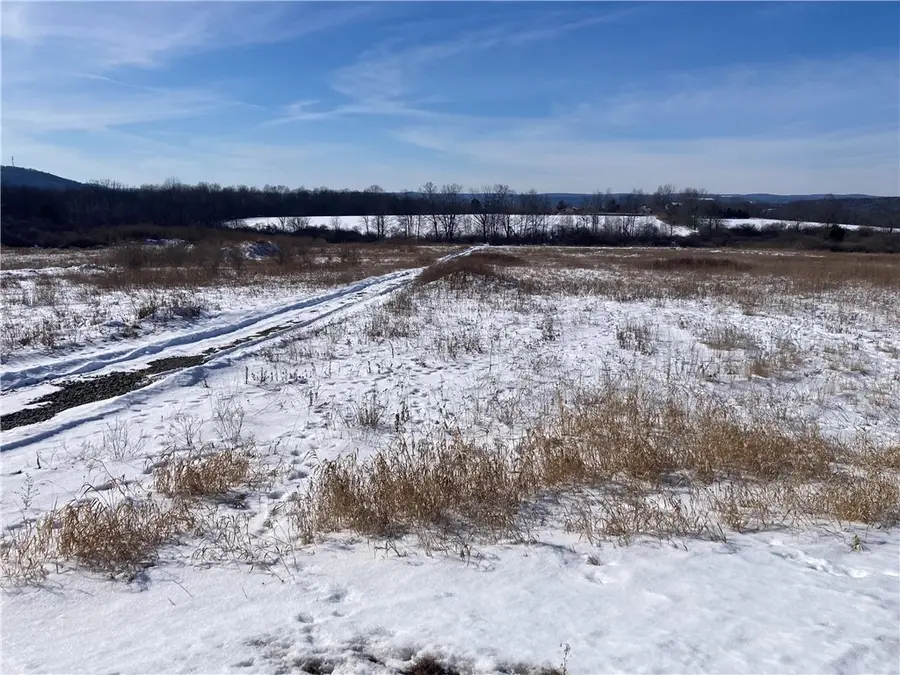 239 Vargo Road, Horseheads, NY 14845 - #3