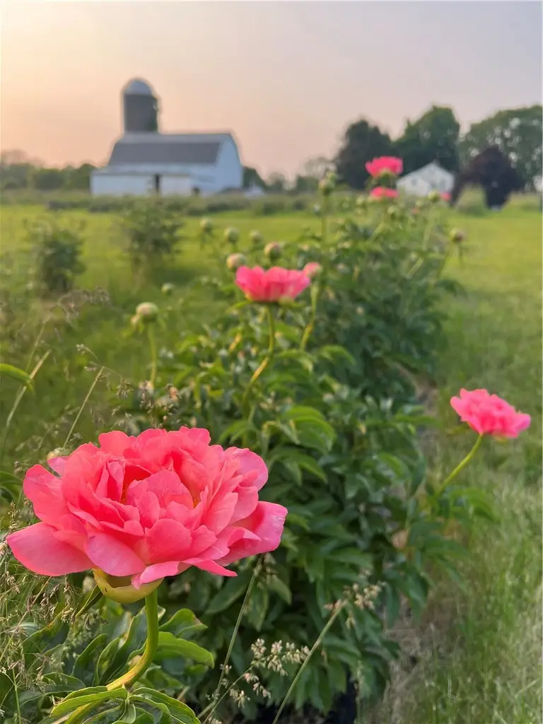 8361 State Route 5 And 20, West Bloomfield, NY 14469 - #3