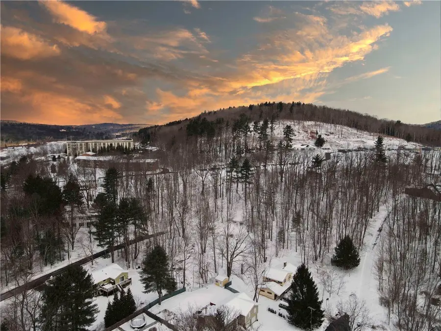 18 Carson Road, Oneonta, NY 13820 - #3