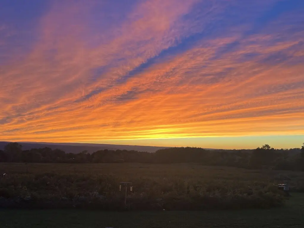 0 Wilson Lot 1 Road, Lansing, NY 14882 - #1