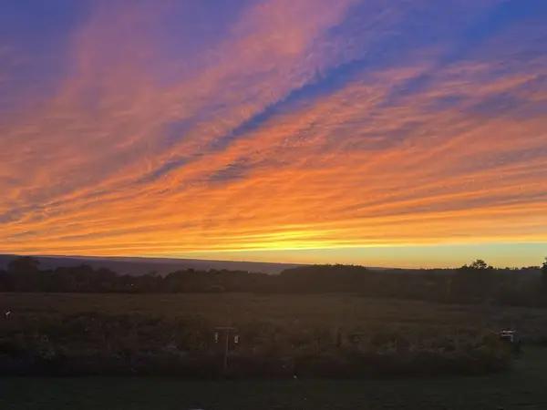 0 Wilson Lot 1 Road, Lansing, NY 14882