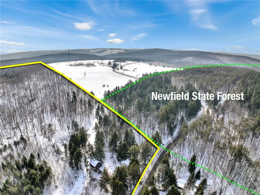 169 Irish Hill Road, Newfield, NY 14867 - #2