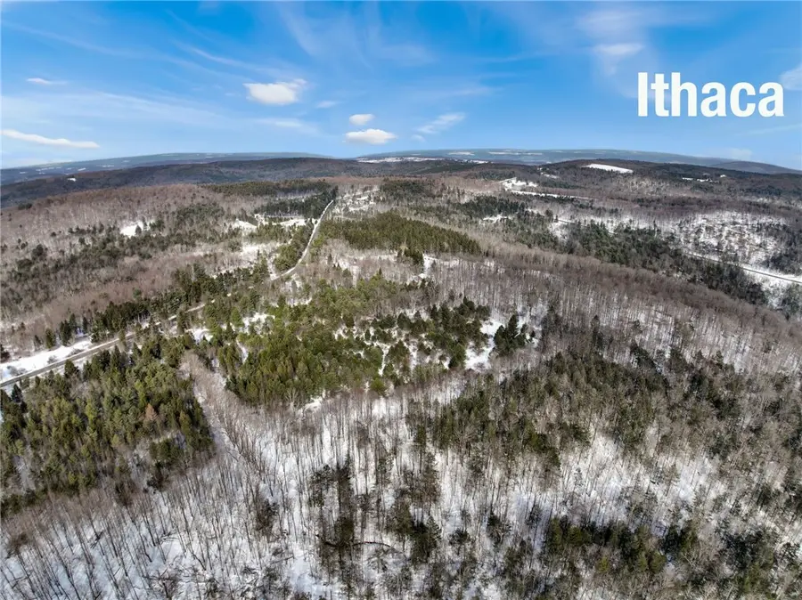 169 Irish Hill Road, Newfield, NY 14867 - #3