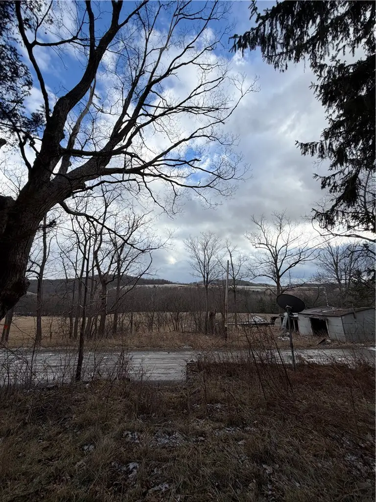 9653 Axtel Road, Savona, NY 14879 - #2