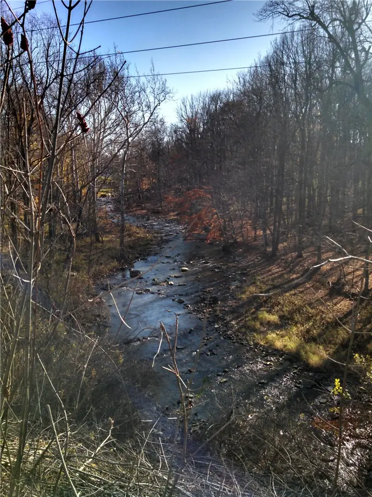 6240 Pheasants Crossing, Farmington, NY 14425 - #1