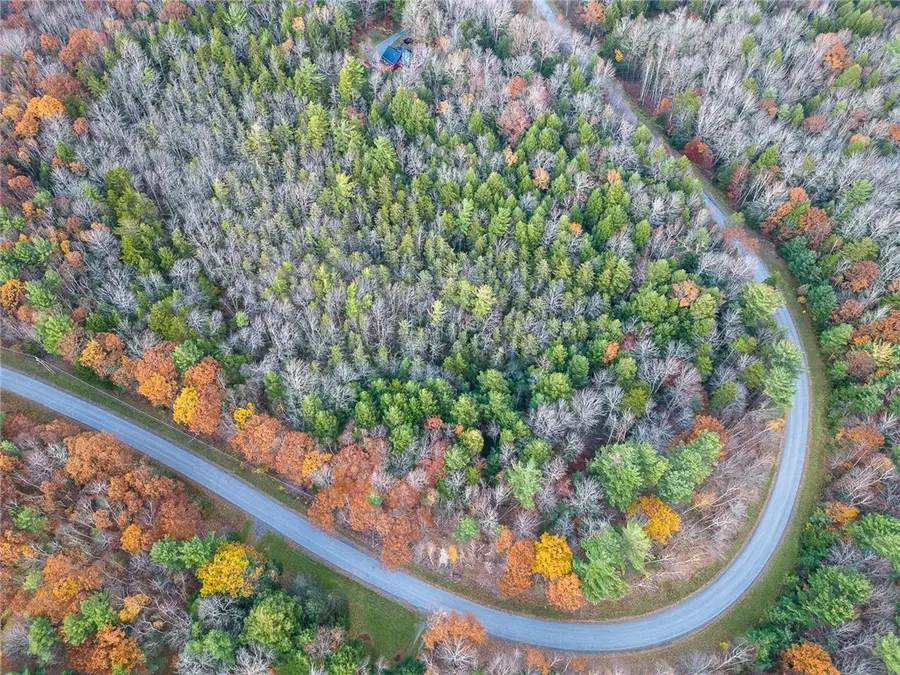 Woodland Drive, Jefferson, NY 12093 - #2