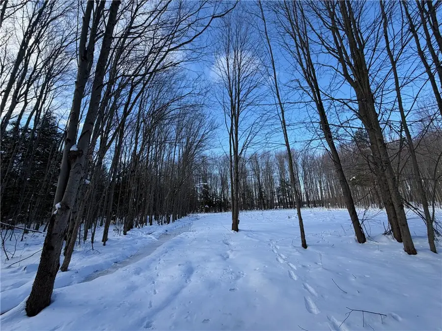 Carpenter Road, Angola, NY 14006 - #2