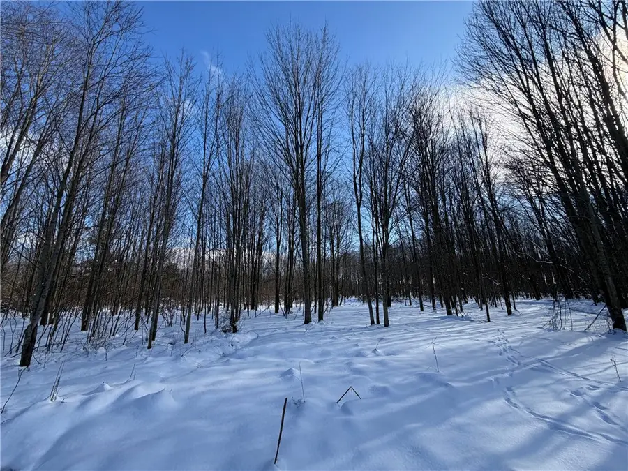 Carpenter Road, Angola, NY 14006 - #3