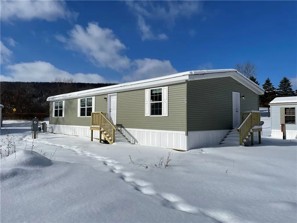 17 Liberty Drive, Moravia, NY 13118 - #1