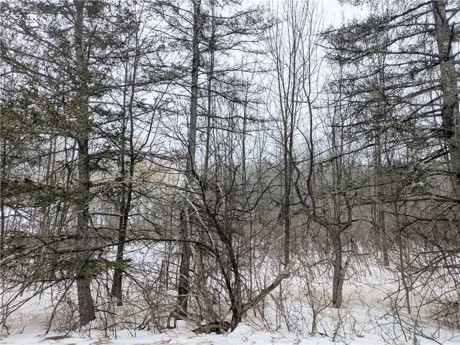 345 Brand Hollow Road, Durham, NY 12422 - #2