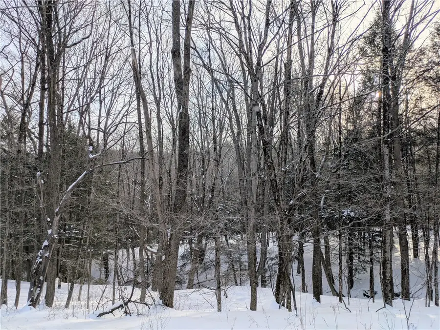 Walt Phillips Road #35, Sherburne, NY 13460 - #3