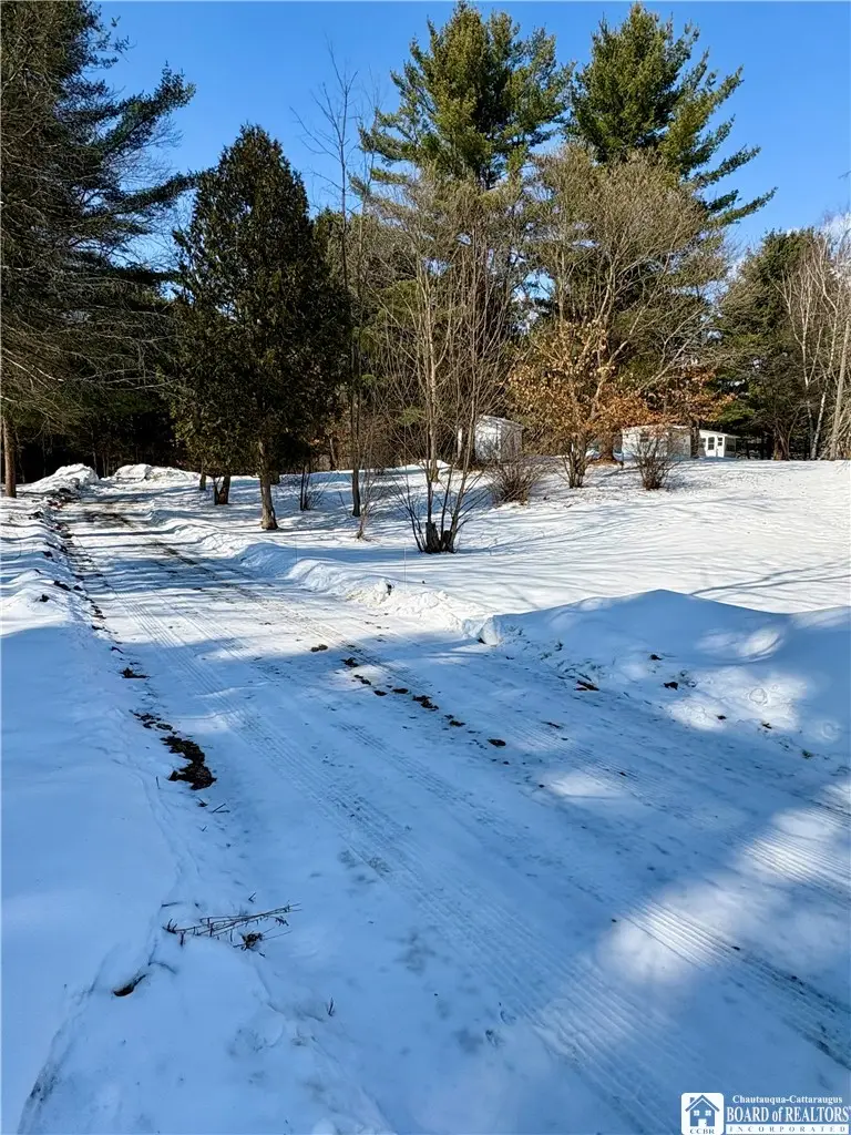 6070 Wiery Road, Mayville, NY 14757 - #2