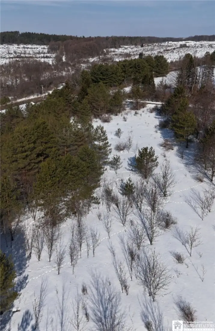 Reynolds Road, Franklinville, NY 14737 - #2