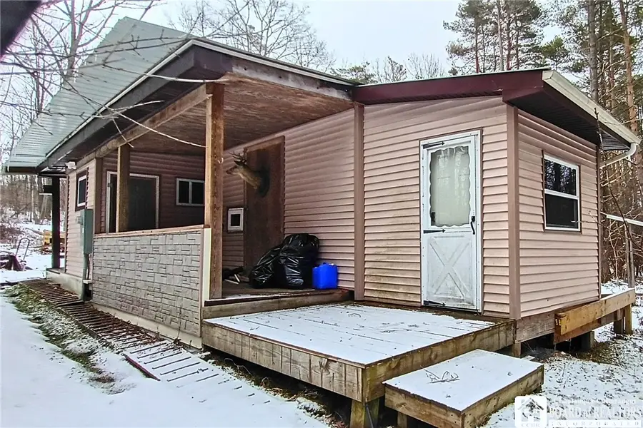 4529 Hartigan Road, Friendship, NY 14739 - #3