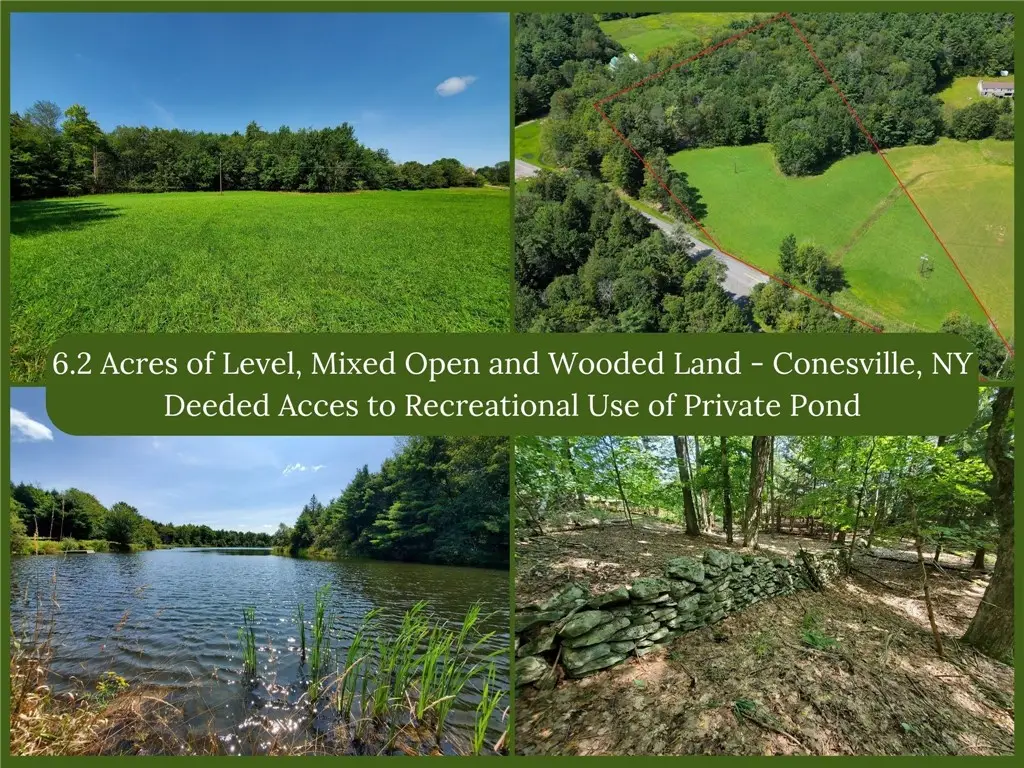 Lot 10 Bull Hill Road, Gilboa, NY 12076 - #1