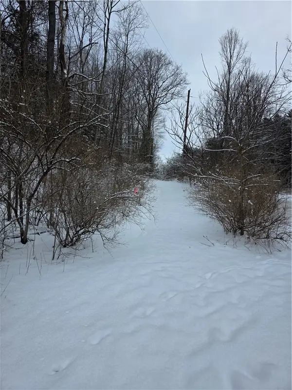 Mormon Hollow Road, Corning, NY 14830