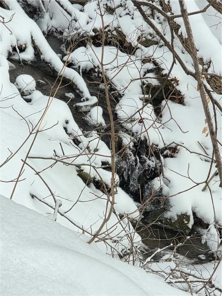 Mormon Hollow Road, Corning, NY 14830 - #2