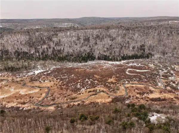 00 Halsey Valley Rd, Spencer, NY 14883