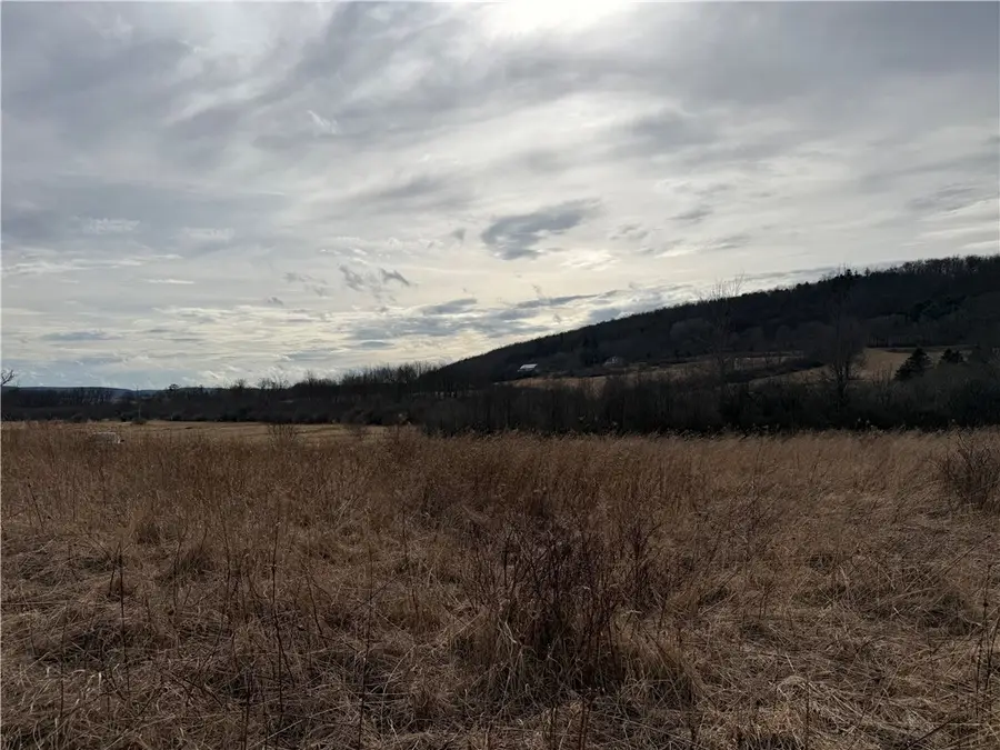 0 Decamp Lane, Tyrone, NY 14887 - #2