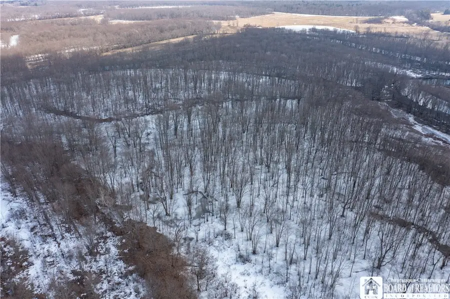 0 Dolloff Road, Jamestown, NY 14701 - #3