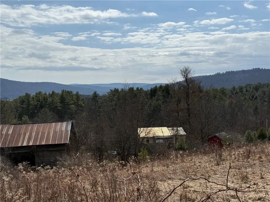 386 High Bridge Road, Mount Upton, NY 13809 - #3