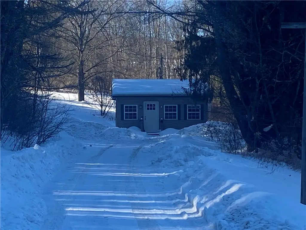 343 County Highway 12, Laurens, NY 13796 - #1