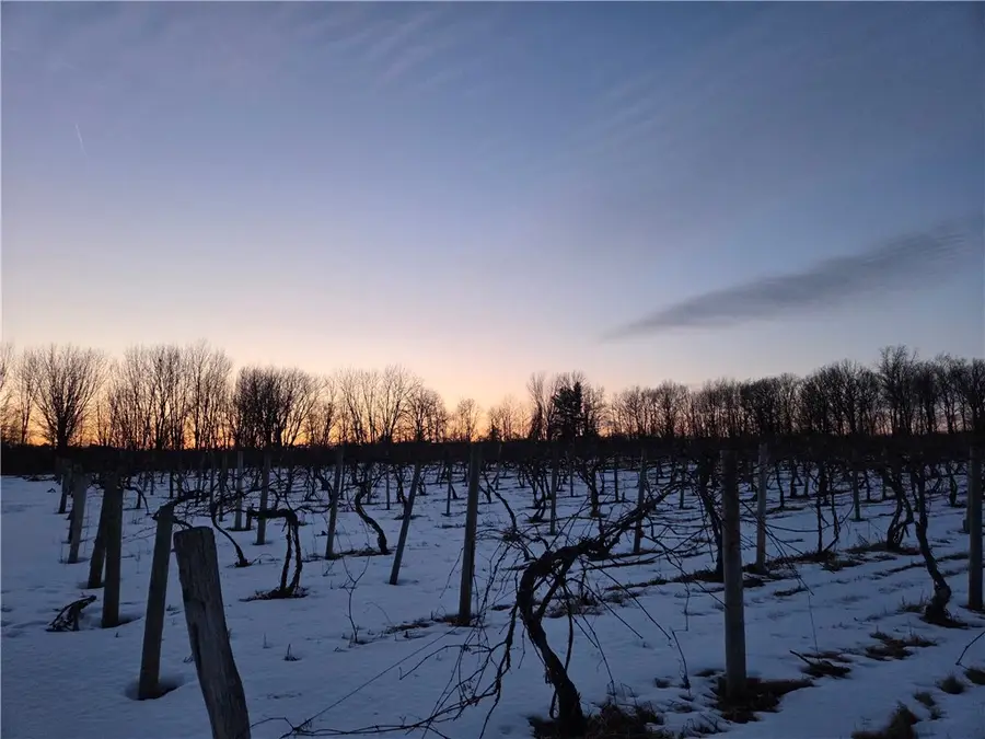 Sutton Road, Jerusalem, NY 14527 - #2