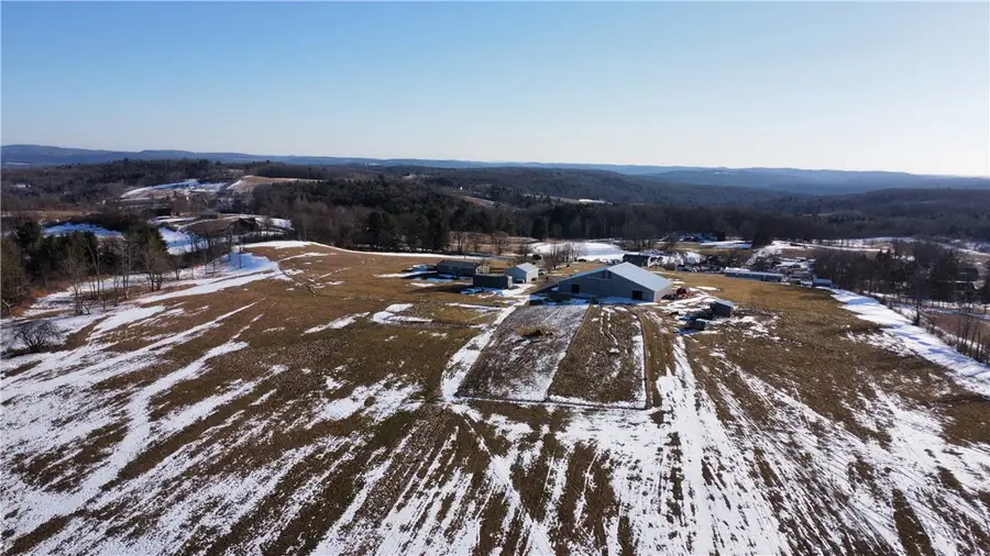 114 Fred Catlin Road, Owego, NY 13827 - #2