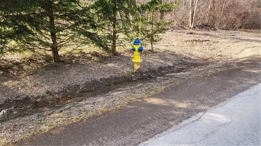 7042 Garner Road, Wolcott, NY 14590 - #3