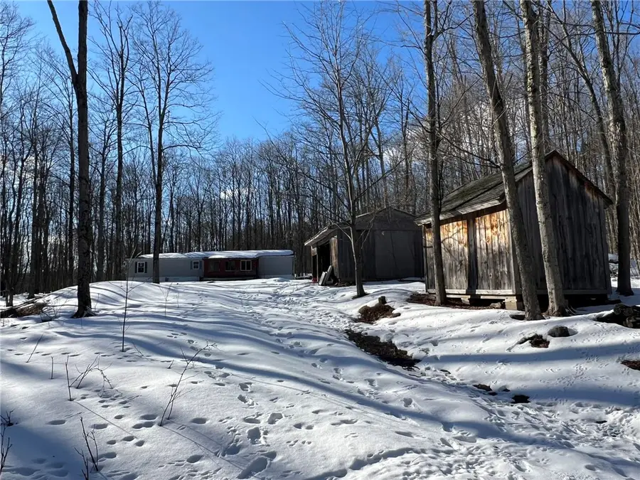 5063 S Cooper Hill Road, Hinsdale, NY 14743 - #2