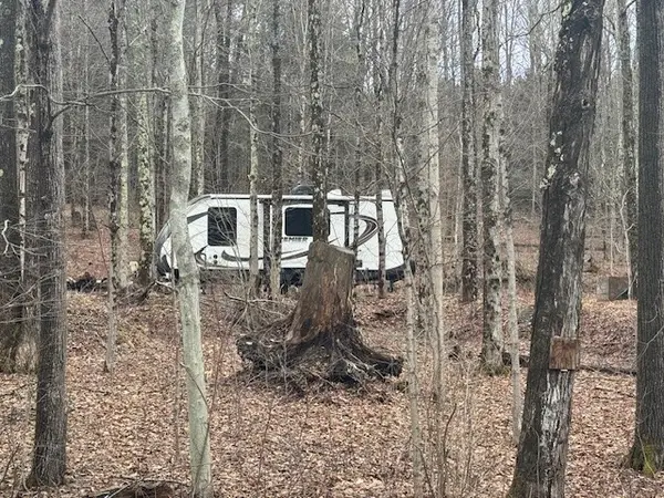 0 Crumtown Road, Spencer, NY 14883