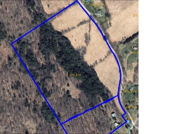 Budine Hill Road, Walton, NY 13856