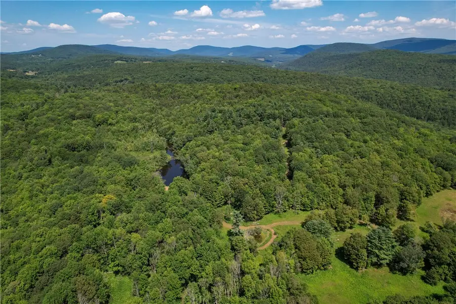 0 Red Kill Road, Fleischmanns, NY 12430 - #3