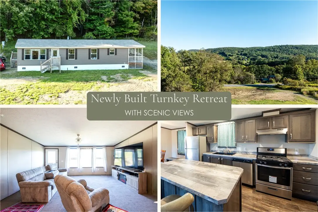 7545 Charlotte Creek Road, Davenport, NY 13750 - #1