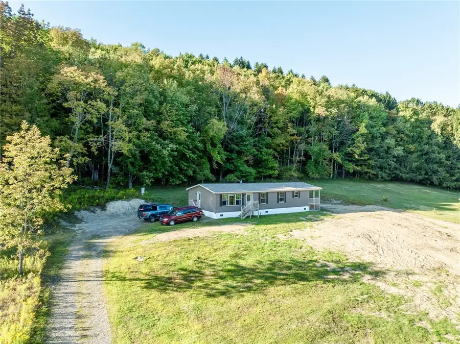 7545 Charlotte Creek Road, Davenport, NY 13750 - #3