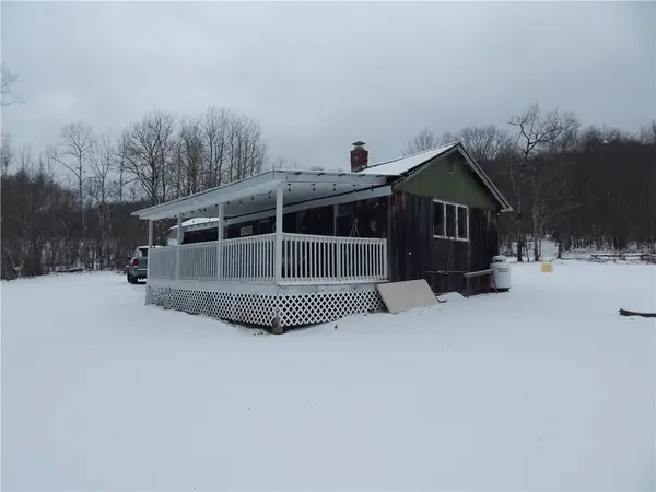 5684 Houck Moutain Road, East Branch, NY 13756