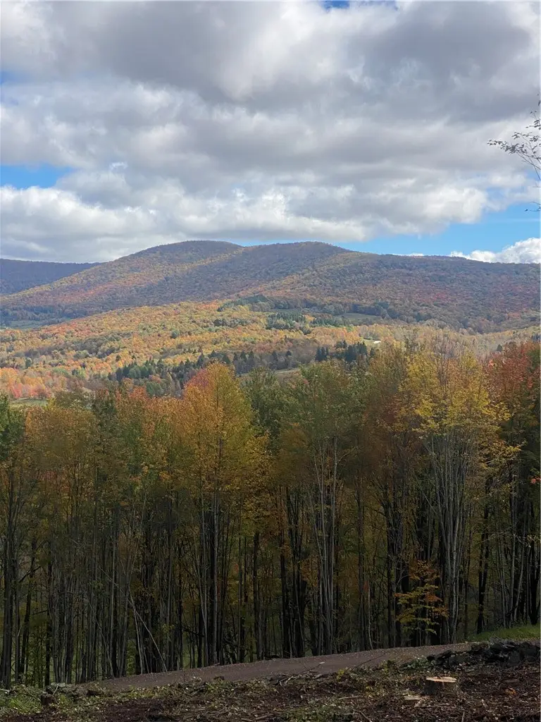 535 Babbling Brook Road, Bovina Center, NY 13740 - #2