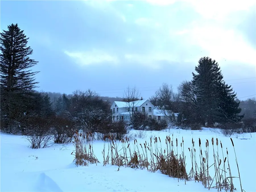 10499 Mink Hollow Road, Centerville, NY 14060 - #2