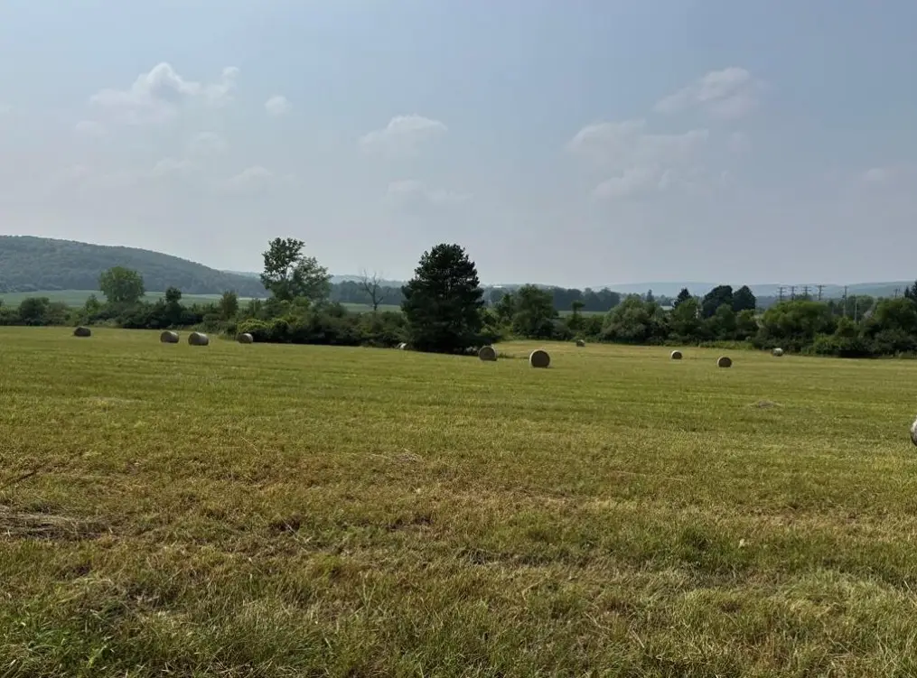 0 Beaver Dams Moreland Road, Montour Falls, NY 14865 - #1